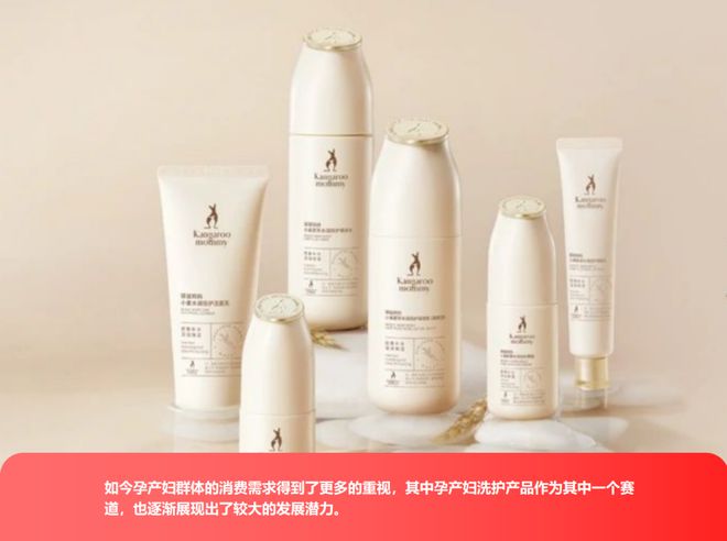 ereden看孕产洗护市场的潜力挖掘PG麻将胡了试玩平台从兔头妈妈到Ev(图4)